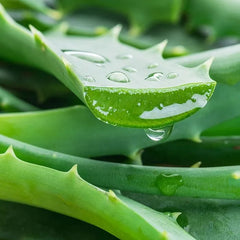 Soothing After-Sun Lotion